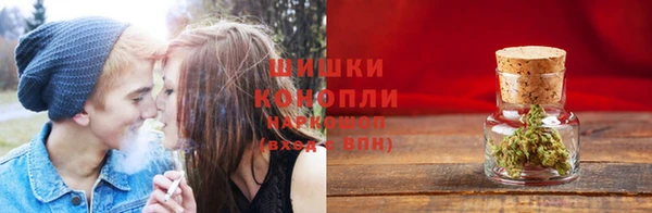 наркотики Бородино