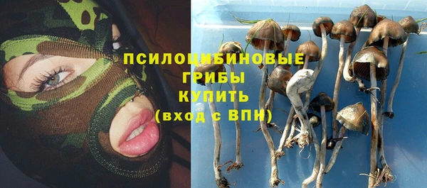 наркотики Бородино