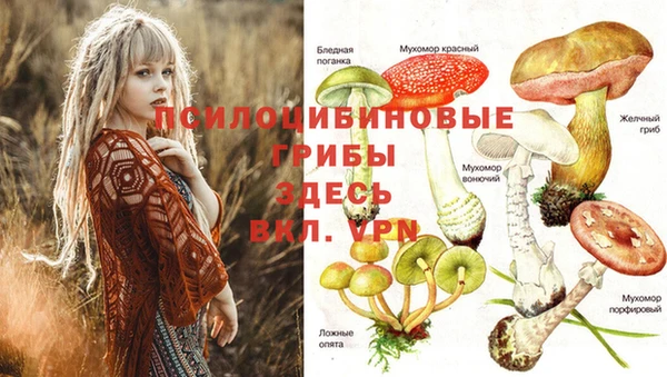 mix Бронницы