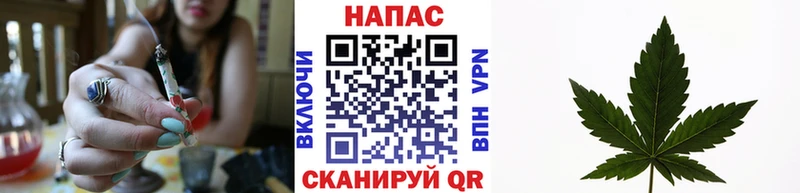 Купить закладки  Лабинск  Бошки Шишки SATIVA & INDICA 